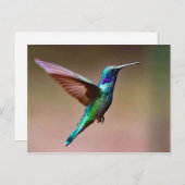 Foto Wildlife Green Hummingbird Postkarte (Vorne/Hinten)