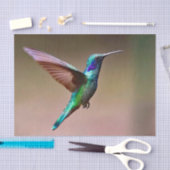 Foto Wildlife Green Hummingbird Seidenpapier (Handwerk)