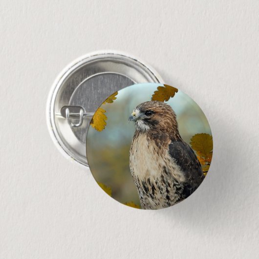 Foto Wildlife Red Tail Hawk Herbst Button (Vorne & Hinten)
