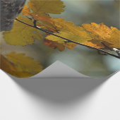 Foto Wildlife Red Tail Hawk Herbst Geschenkpapier (Ecke)