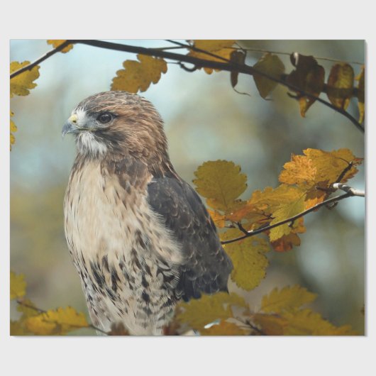 Foto Wildlife Red Tail Hawk Herbst Geschenkpapier (Flach)