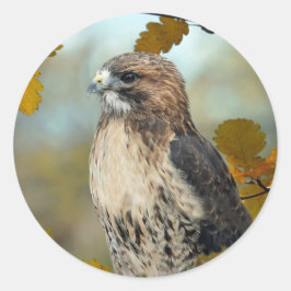 Foto Wildlife Red Tail Hawk Herbst Runder Aufkleber