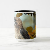 Foto Wildlife Red Tail Hawk Herbst Tasse (Zentrum)