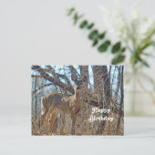 Foto Wildtiere Hirsche und Hirsche Postkarte (Stehend Vorderseite)