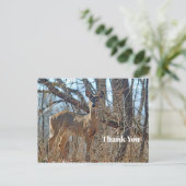 Foto Wildtiere Woods Danke Postkarte (Stehend Vorderseite)