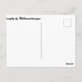 Foto "Willow Cat Sitting" Postkarte (Rückseite)