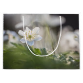 Foto Windblume Große Geschenktüte (Vorderseite)