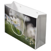 Foto Windblume Große Geschenktüte (Vorderseite Schrägansicht)