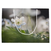 Foto Windblume Große Geschenktüte (Rückseite)