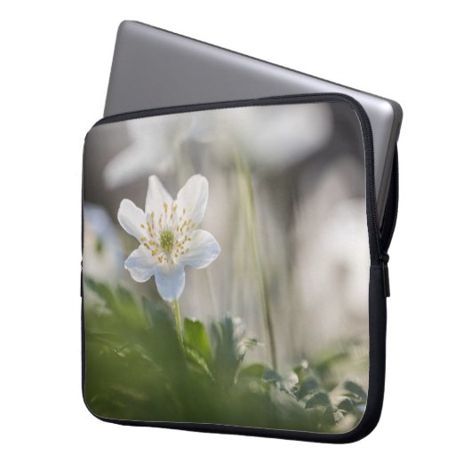 Foto Windblume Laptopschutzhülle (Vorderseite Links)