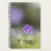 Foto Windblume Planer (Vorderseite)