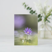 Foto Windblume Postkarte (Stehend Vorderseite)