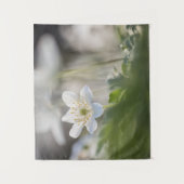 Foto Windblume Wandteppich (Vorderseite)