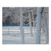 Foto Winterweide drucken (Vorne)