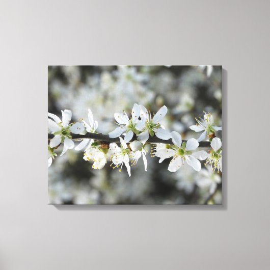 Foto Wrapperd Leinwand (Vorderseite)