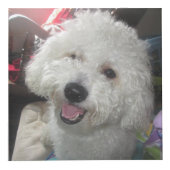 Foto-Würfel (4 Zoll) Würfel (Vorderseite)