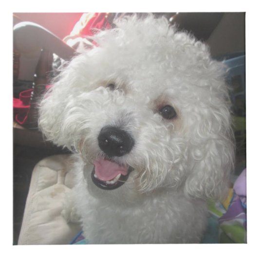 Foto-Würfel (4 Zoll) Würfel (Vorderseite)