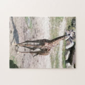 Foto Young Giraffe Walking Jigsaw Puzzles (Horizontal)