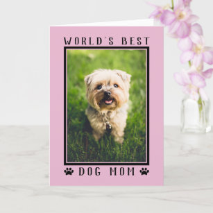hundefreunde geburtstagskarte karten zazzle de