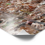 Foto zum Zurücksetzen von Buck Deer (Ecke)