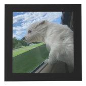 Foto zur Aufbewahrung von Hundegedanken Würfel (Rechts)