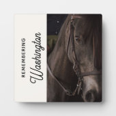 Foto zur Erinnerung an Pferde Fotoplatte (Vorderseite)