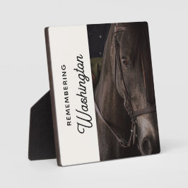 Foto zur Erinnerung an Pferde Fotoplatte