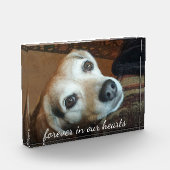 Foto zur Erinnerung von Haustieren für immer in un (Links)