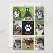 Foto zur Erinnerung von Hunden in der Liebe zur Sp (Vorderseite)