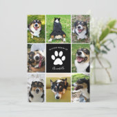 Foto zur Erinnerung von Hunden in der Liebe zur Sp (Stehend Vorderseite)