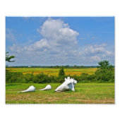 Foto zur Muschel (Vorne)