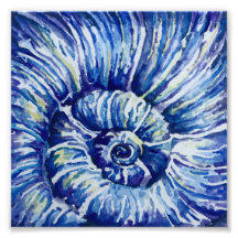 Foto zur Muschel von Aquarellen