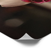 Foto zur orchid-orchid-Blume Poster (Ecke)