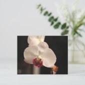 Foto zur orchid-orchid-Blume Postkarte (Stehend Vorderseite)