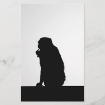 Foto zur Silhouette von Affen