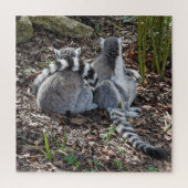 Foto Zwei Ring Taille Lemurs Snuggling Square Puzzle (Vertikal)