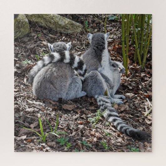Foto Zwei Ring Taille Lemurs Snuggling Square Puzzle (Vertikal)