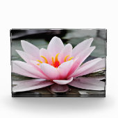 Fotoblock (Vorderseite)