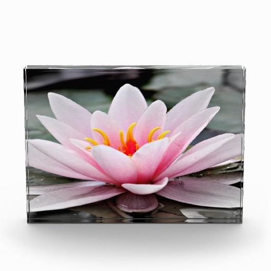 Fotoblock (Vorderseite)
