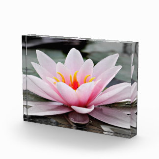 Fotoblock