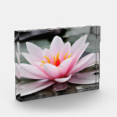 Fotoblock (Links)