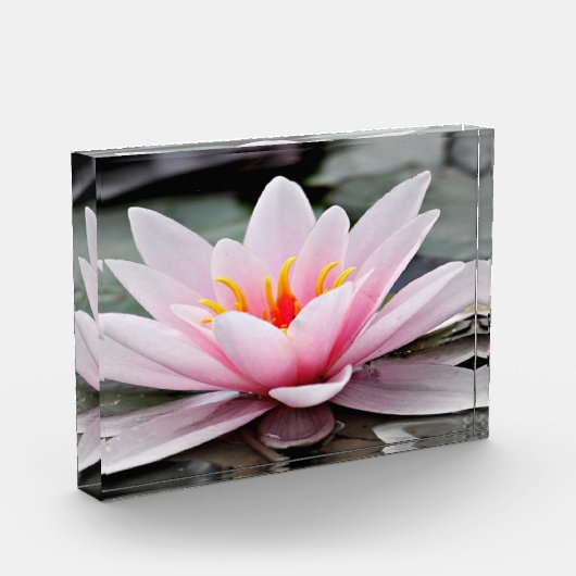 Fotoblock (Links)