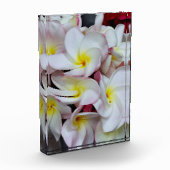 Fotoblock (Links)