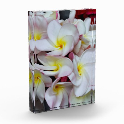 Fotoblock (Links)