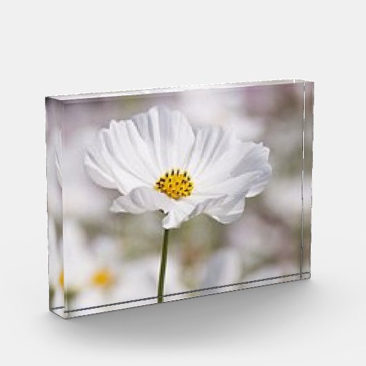 Fotoblock. Fotoblock (Links)