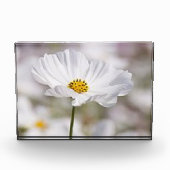 Fotoblock. Fotoblock (Vorderseite)