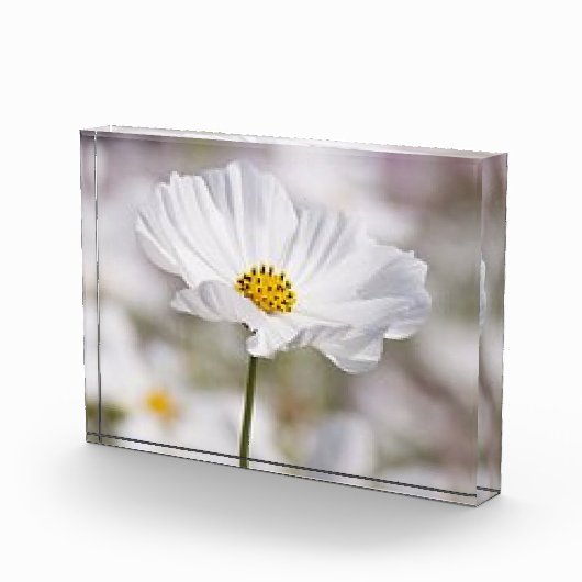 Fotoblock. Fotoblock (Rechts)