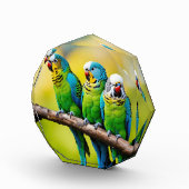 Fotoblöcke (Rechts)