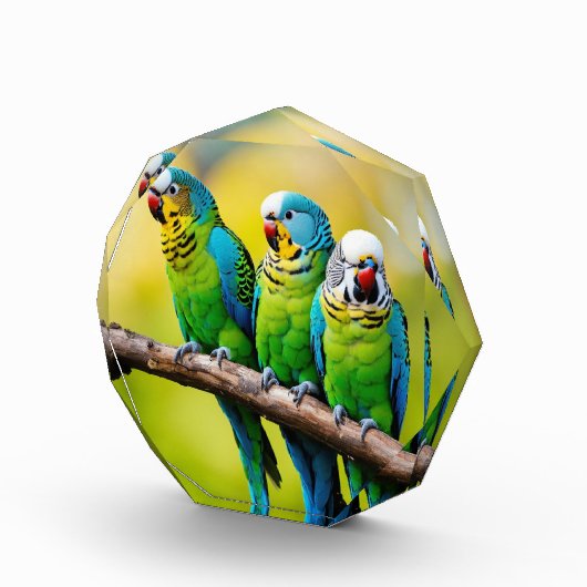 Fotoblöcke (Rechts)