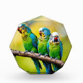 Fotoblöcke (Vorderseite)